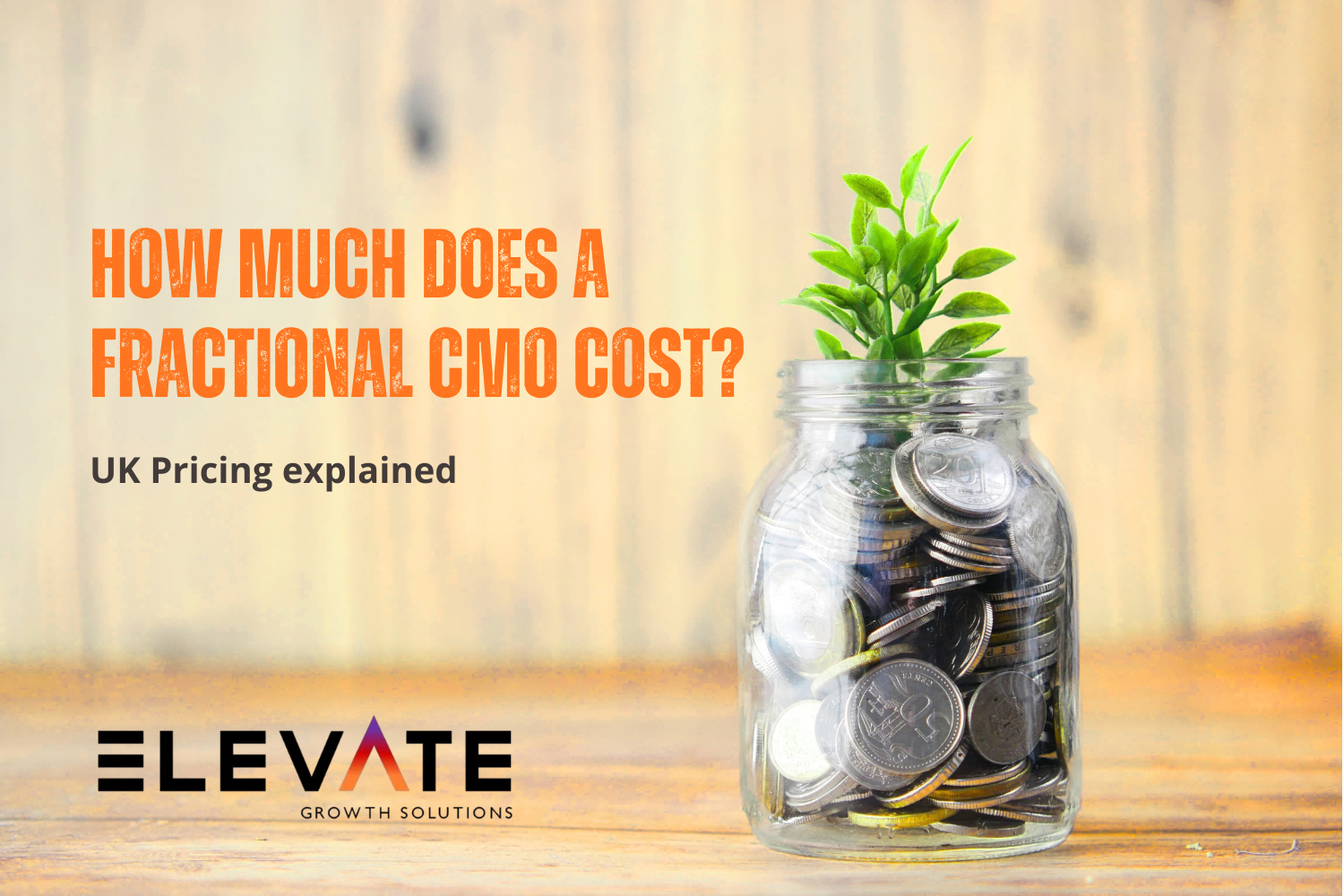 How much does a Fractional CMO cost in the UK?
